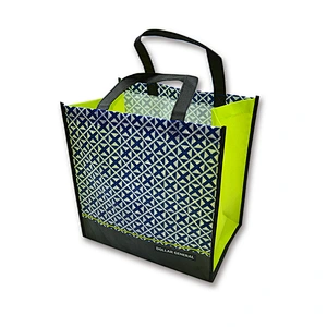 China promotional laminated pp non woven shopping plastic saree bag
