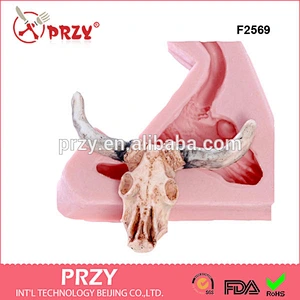 F2569 Realistic Steer Skull Flexible silicone mold Steer Skull Silicone Mold/Southwestern Cow Skull Mold