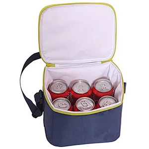 Soft-Sided Insulated Foldable Polyester Non-woven Picnic Cooler Bag