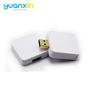 Custom Promotional Plastic Case USB Flash Drive