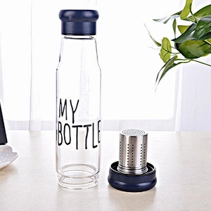 Factory Direct Wholesale Glass Bottle 550ml Double Wall Glass Travel Mug Outdoor Sports Water Glass Cup with Infuser