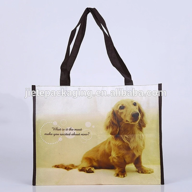 Advertising pp non woven reusable fashion shopping bag with printing