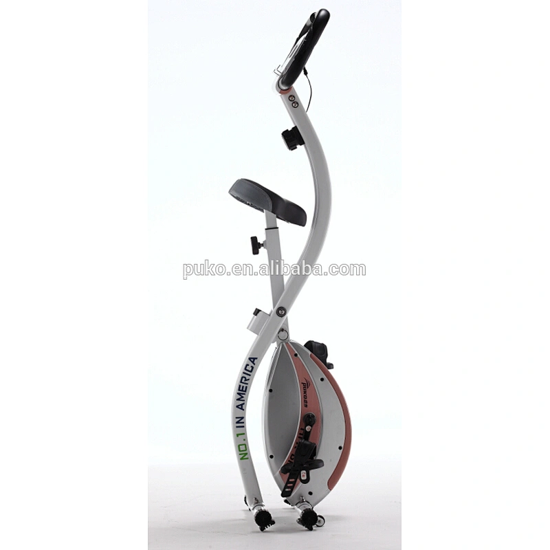 Factory Cheaply New Style 3KG Heavy Flywheel Exercise Magnetic Bike CF-917FR