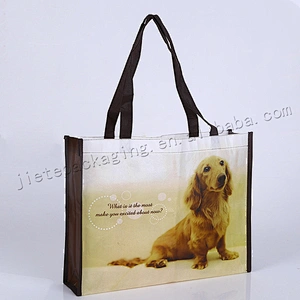 Wholesale reusable and foldable pp non woven shopping bag with design printing