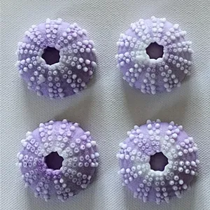 Sea Urchin Silicone Soaps mold, Beach Theme Series