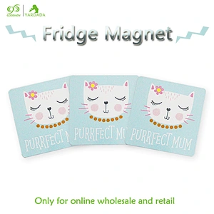 2018 square kittens patterned magnetic fridge,Lovely style and high quality refrigerator magnet in stock