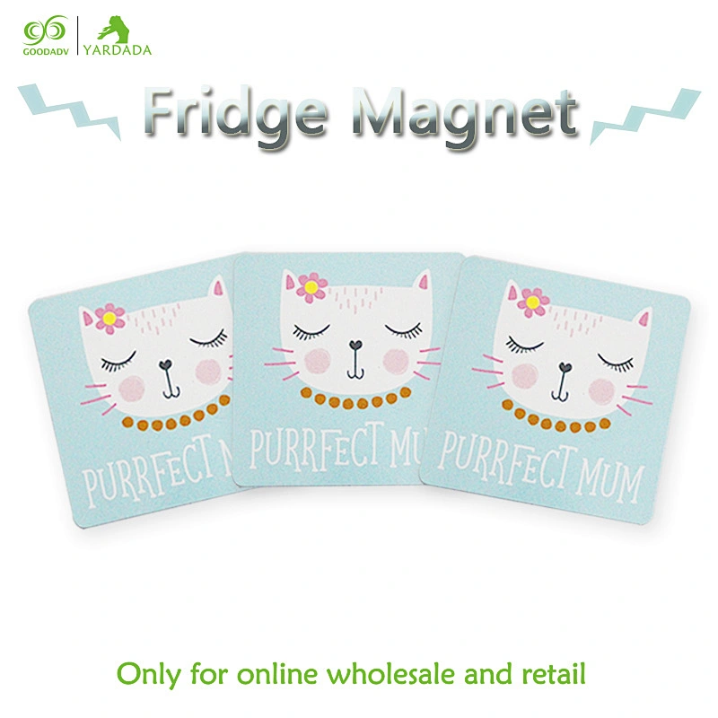 2018 square kittens patterned magnetic fridge,Lovely style and high quality refrigerator magnet in stock