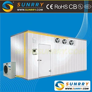 Commercial walk in freezer cold room cooler refrigeration unit for seafood (SY-CR6F)