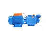 screw pump for water