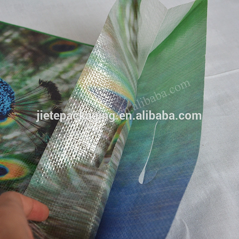 10kg Polypropylene Rice Woven Packaging Bag With Handle