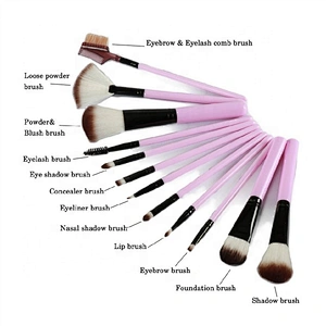 Private Label Fashionable Pink 12pcs Cosmetic Makeup Brush Set With Makeup Holder