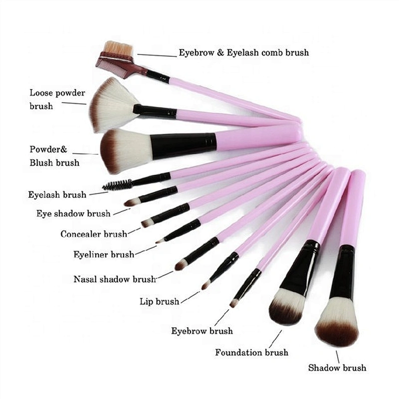 Private Label Fashionable Pink 12pcs Cosmetic Makeup Brush Set With Makeup Holder