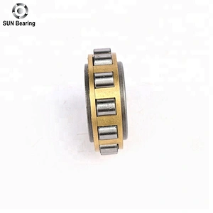 RN204 Cylindrical Roller Bearing