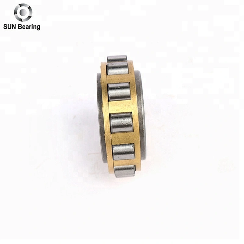 RN204 Cylindrical Roller Bearing