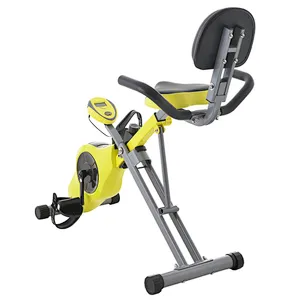 CF-917EL MAGNETIC MOTOR FOR BIKE WITH 2.5KGS FLYWHEEL