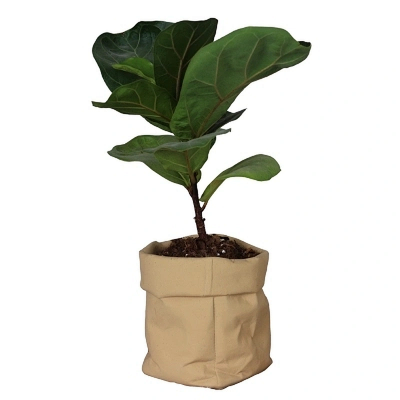 S9200  Silica gel Geometric flower pot molds Concrete pot silicone molds concrete holder molds Cement storage moulds