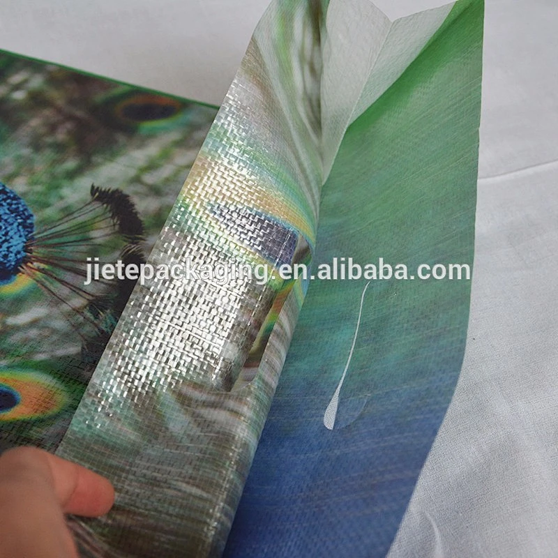 Customized bopp laminated new material pp woven fabric plastic transparent 10kg rice packing bag perforation of the handle