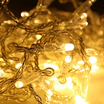 220V 10 100leds Voltage and Christmas Holiday Name extendable Led string fairy lights