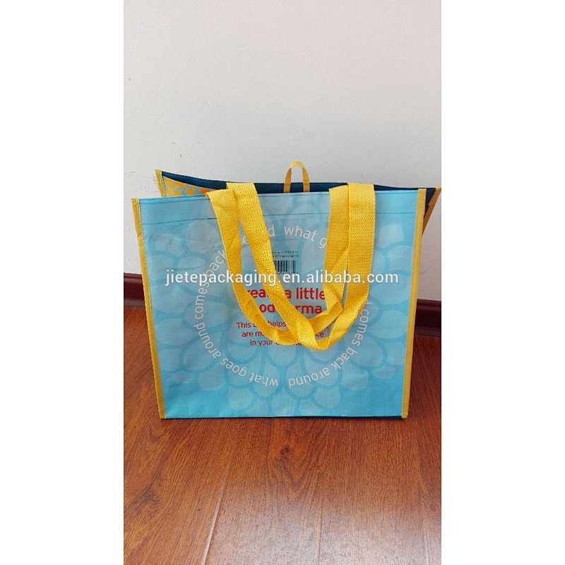 Wholesale proper price storing packing pp woven shopping handle bag