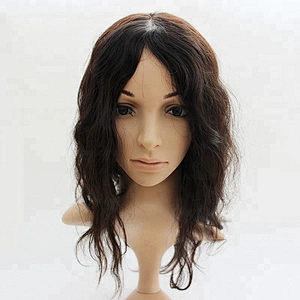 New coming style!!!100% Brazilian virgin human hair wig