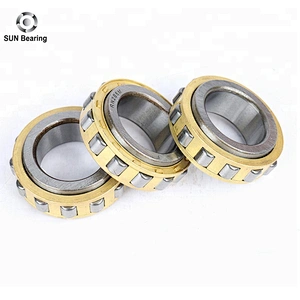 RN205 Cylindrical Roller Bearing