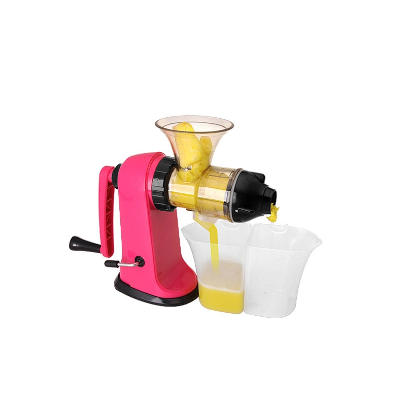bravo multi- fruit slow juicer & ice cream machine