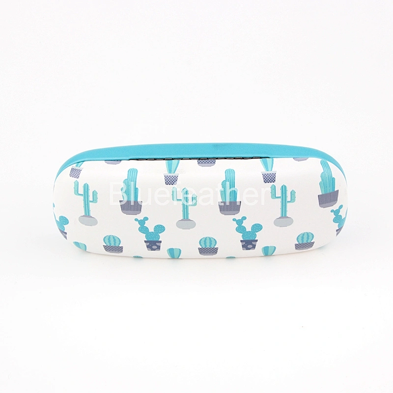 Blue Cactus Bonsai Ball Cactus Hard Optical Case for Students