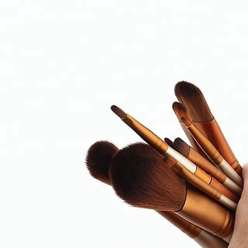 Private Label 12pcs Mini Makeup Brush Set Travel With Tin Box