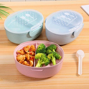 Free Sample Hot Selling Environmentally Friendly Food Grade Plastics Lunch Box Foldable Bento Box Popular Food Container