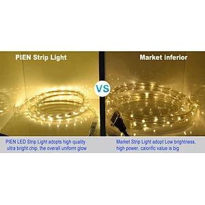RGBW RGB 4000K Orange Double row Flat round rope light IP67 Waterproof 110V 220V led strip light