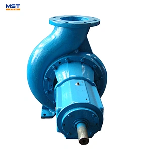 Bare shaft water pump without motor