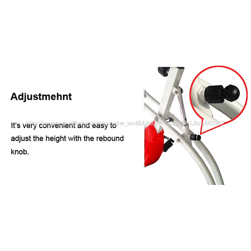 popular home use magnetic bike for adult