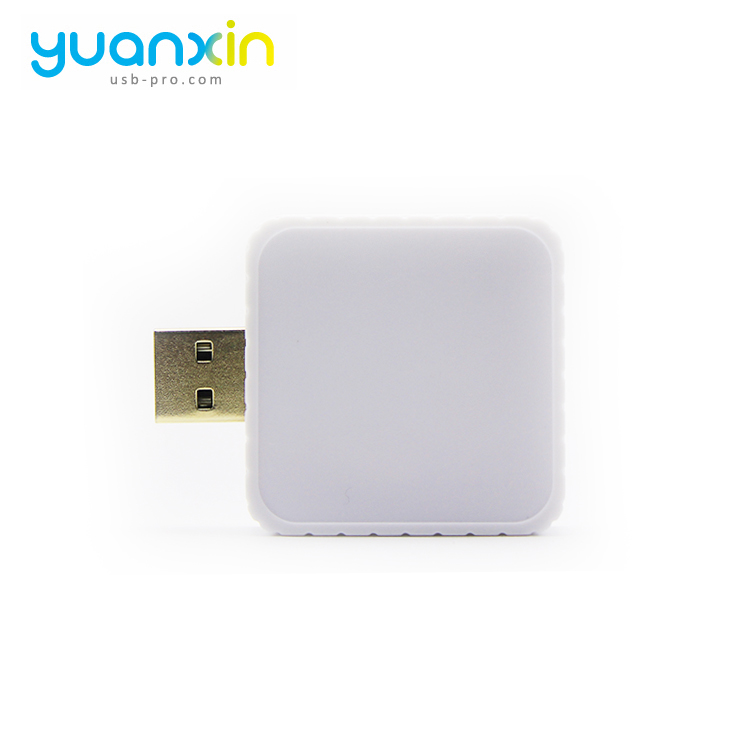 Custom Promotional Plastic Case USB Flash Drive