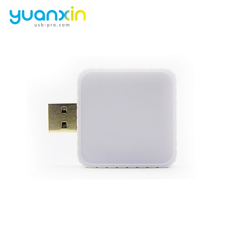 Custom Promotional Plastic Case USB Flash Drive