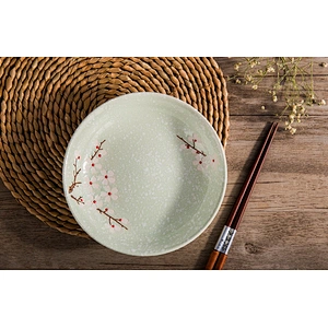 Traditional bone ceramic technique tableware dish by washing machine