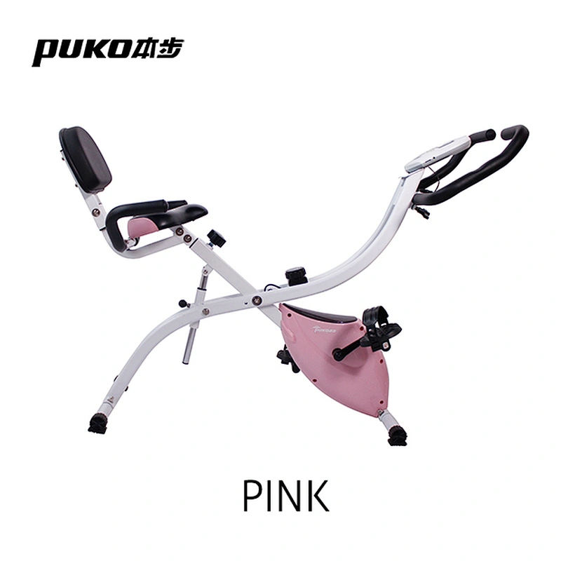 Adjustable magnetic bike with recumbent function