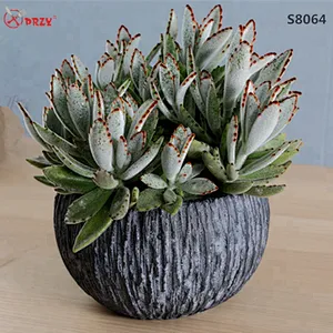 S8064 Personality succulents flower pot Mold concrete planter silicone Mould handmade vase silicone Molds