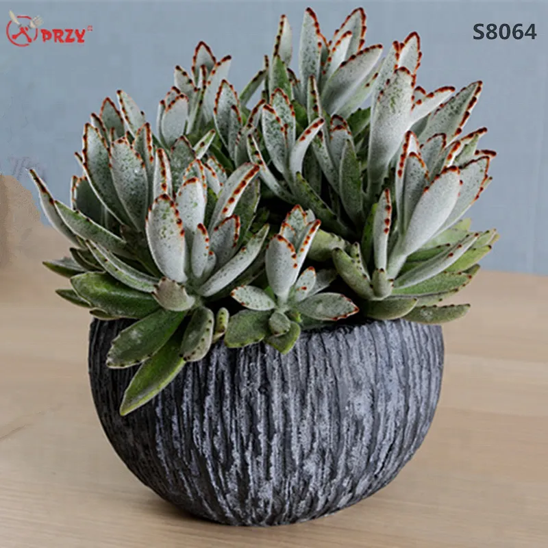 S8064 Personality succulents flower pot Mold concrete planter silicone Mould handmade vase silicone Molds