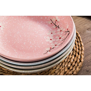 Traditional bone ceramic technique tableware dish by washing machine
