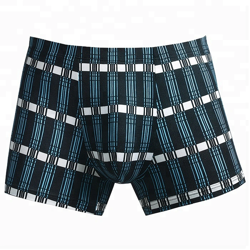 2018 Hot Selling Custom Logo Sexy Men In Underwear Transparent Pictures Men Penis Boxer Briefs