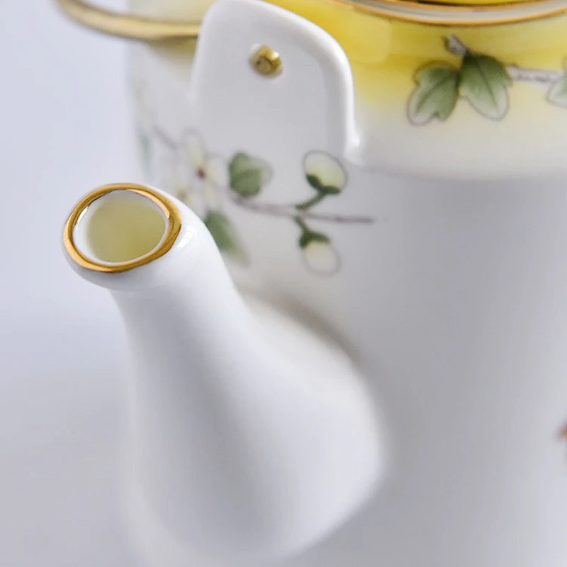 The pattern of beauty white porcelain water kettle with handgrip for kungfu tea