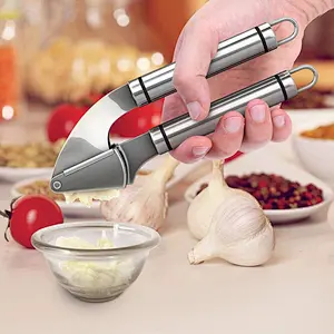 high quality professional industrial manual stainless steel garlic press