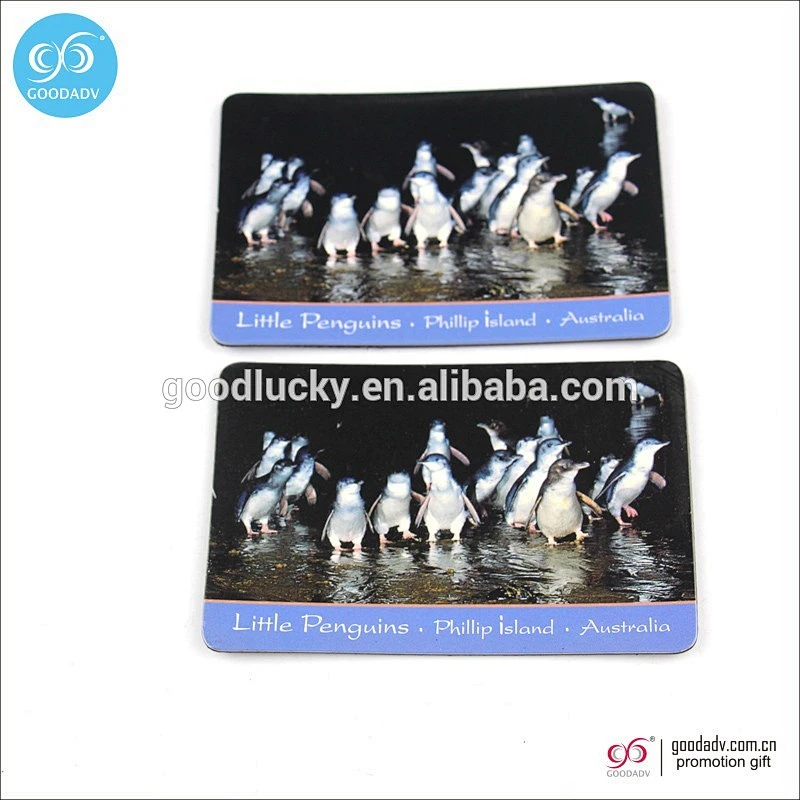 China suppliers custom souvenir fridge magnet sticker magnet fridge