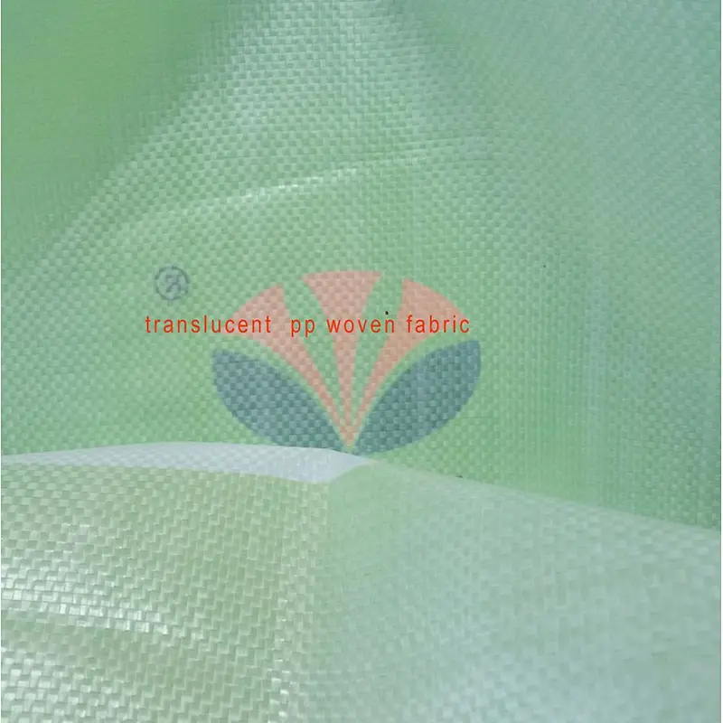 China agricultural 25kg maize seeds packaging bags,20kg 50kg pp corn seed bag
