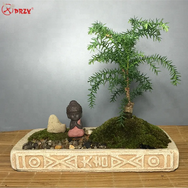 Chinese style Cement succulent Moss planter molds Office retro Concrete flower pot decorations molds