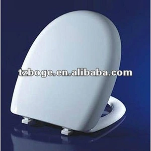 Toilet seat moulding
