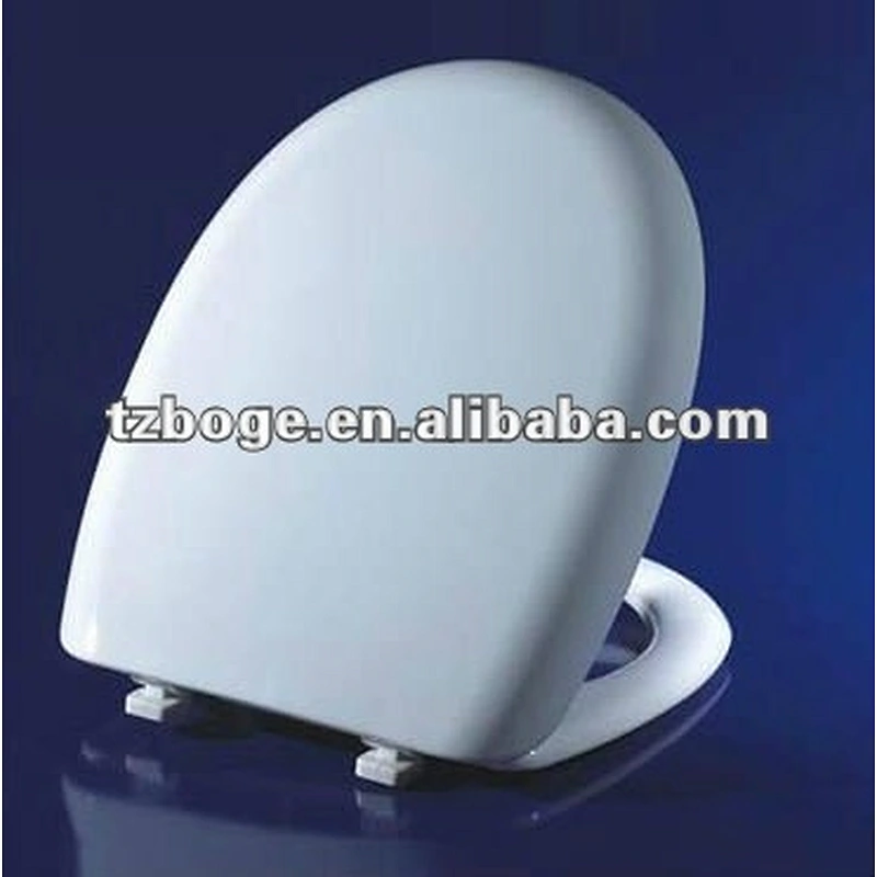 Toilet seat moulding