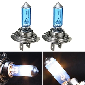 Lightech 12V 55W H7 Halogen Bulbs for auto cars