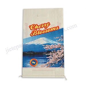 Sell well printed pp woven rice bag 5kg with D handle