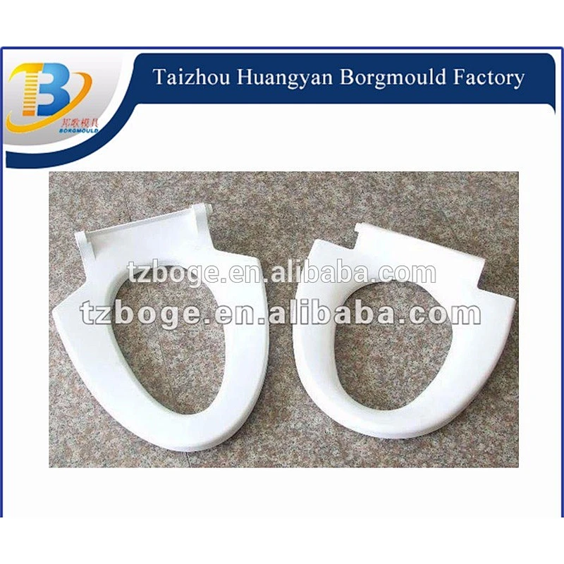 Toilet seat moulding